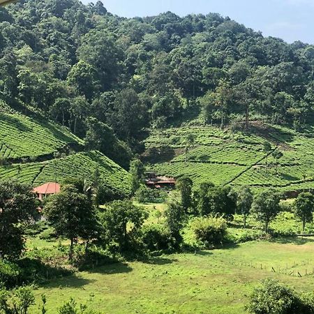 Janiro Tea Trees Villas Vithiri Kültér fotó