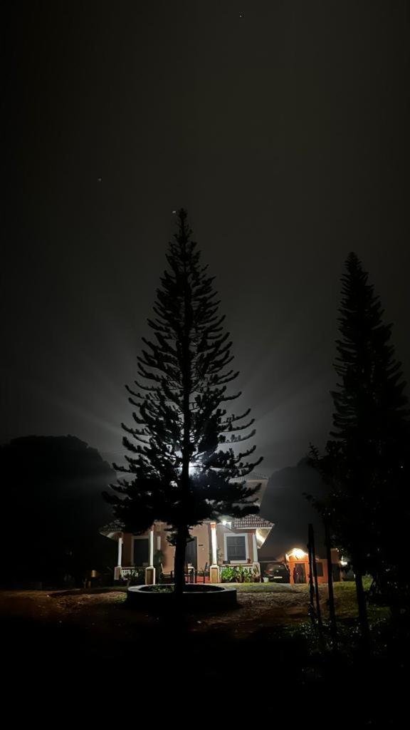 Janiro Tea Trees Villas Vithiri Kültér fotó