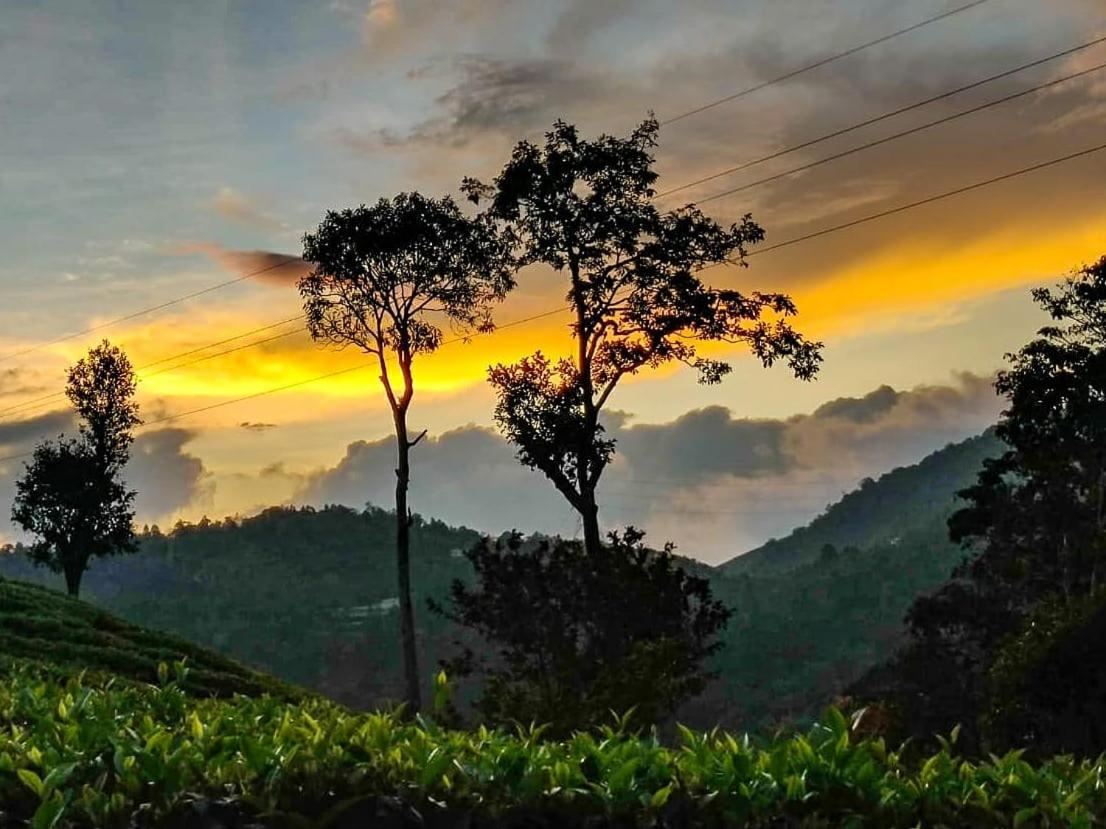 Janiro Tea Trees Villas Vithiri Kültér fotó