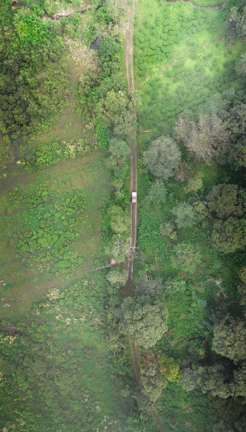 Janiro Tea Trees Villas Vithiri Kültér fotó