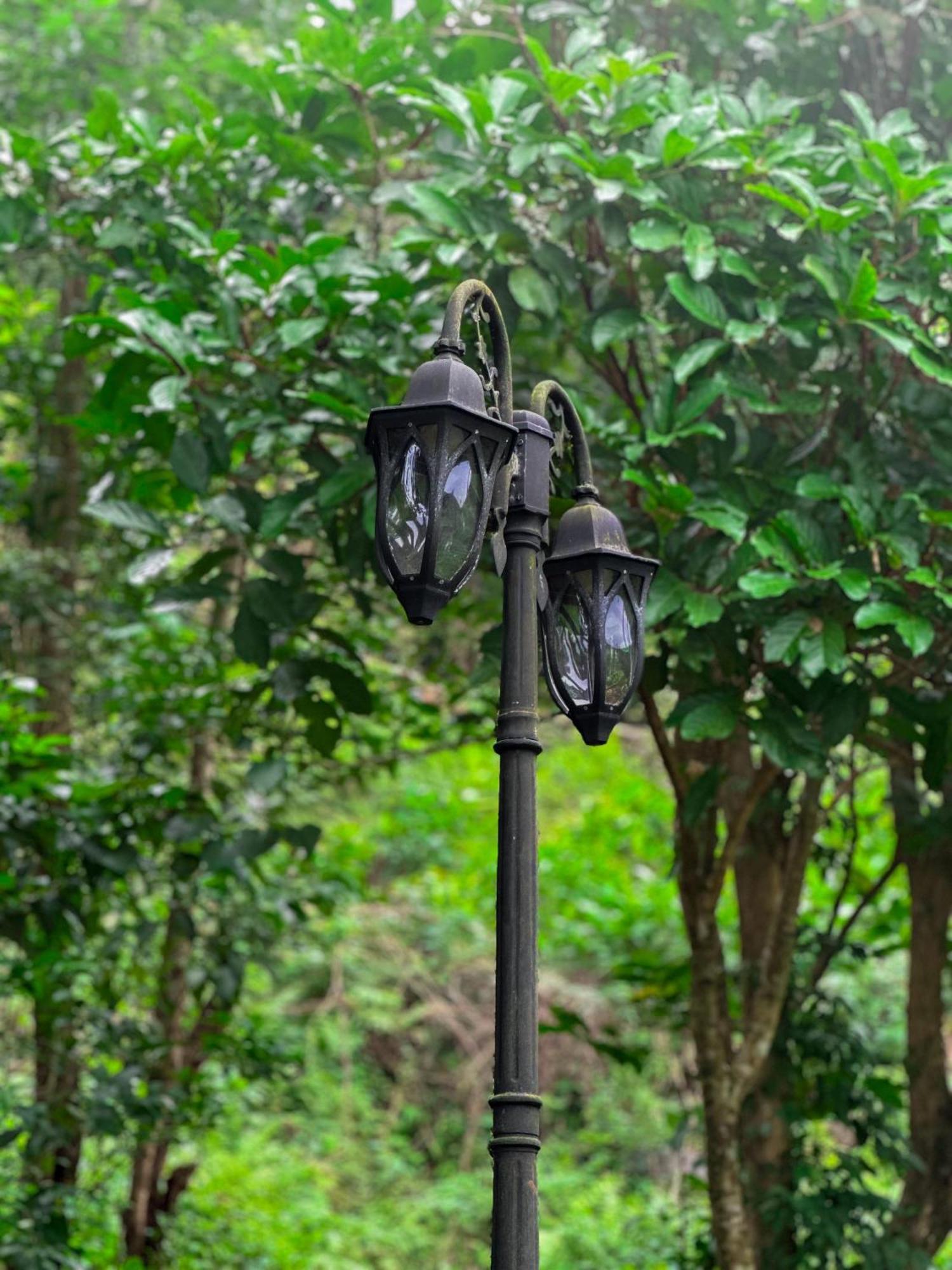 Janiro Tea Trees Villas Vithiri Kültér fotó
