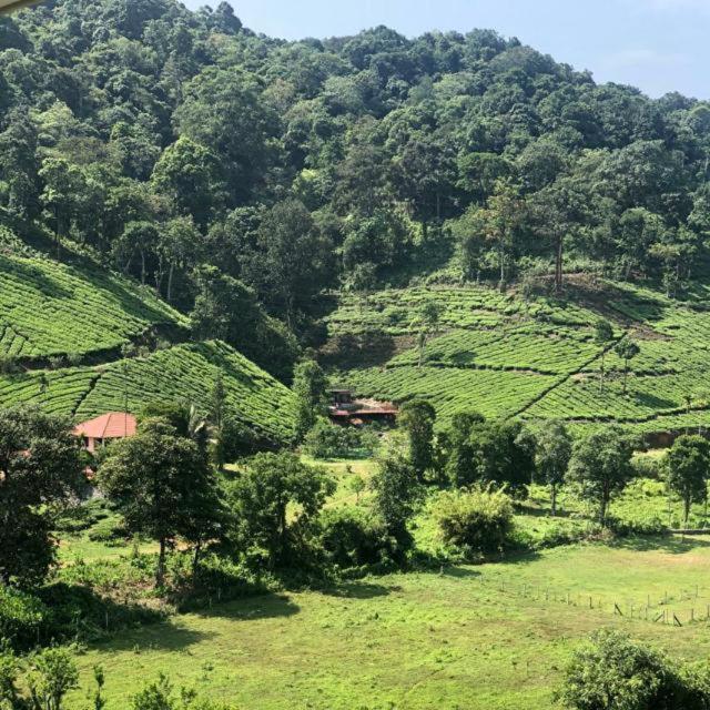 Janiro Tea Trees Villas Vithiri Kültér fotó