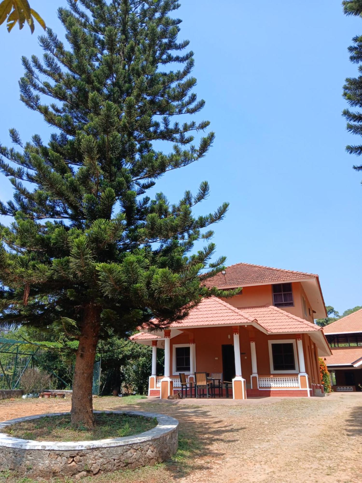 Janiro Tea Trees Villas Vithiri Kültér fotó