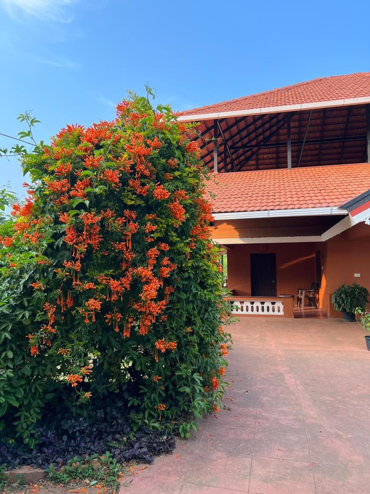 Janiro Tea Trees Villas Vithiri Kültér fotó